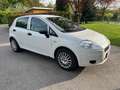Fiat Punto Punto 199 BXZ Weiß - thumbnail 1