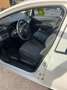 Fiat Punto Punto 199 BXZ Weiß - thumbnail 5