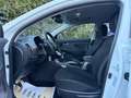 Kia Sportage 1,7 CRDI Gold Pickerl & Service NEU Navi Sitz&LKRHzg AHK Weiß - thumbnail 8