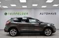 Ford Edge Titanium 4x4 / STZG / LED / ACC / PANO Grau - thumbnail 8