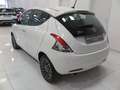 Lancia Ypsilon 1.2 Gold ecochic  Gpl  69cv "Solo 56.000 km!!!" Bianco - thumbnail 6