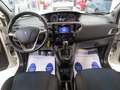 Lancia Ypsilon 1.2 Gold ecochic  Gpl  69cv "Solo 56.000 km!!!" Bianco - thumbnail 12