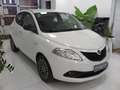 Lancia Ypsilon 1.2 Gold ecochic  Gpl  69cv "Solo 56.000 km!!!" Bianco - thumbnail 3