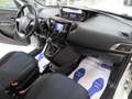 Lancia Ypsilon 1.2 Gold ecochic  Gpl  69cv "Solo 56.000 km!!!" Bianco - thumbnail 8
