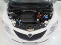 Lancia Ypsilon 1.2 Gold ecochic  Gpl  69cv "Solo 56.000 km!!!" Bianco - thumbnail 14