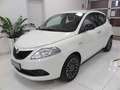 Lancia Ypsilon 1.2 Gold ecochic  Gpl  69cv "Solo 56.000 km!!!" Bianco - thumbnail 1