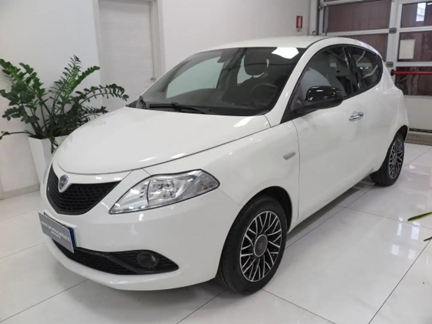 Lancia Ypsilon 1.2 Gold ecochic Gpl 69cv "Solo 56.000 km!!!" Blanc - 1