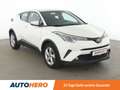Toyota C-HR 1.2 Turbo Flow*ACC*CAM*KLIMA*GARANTIE* Weiß - thumbnail 8