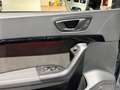 CUPRA Ateca 2,0 TSI 4Drive DSG / BeatsAudio | 360° Kamera | V Silber - thumbnail 23