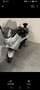 Piaggio X 8 Zilver - thumbnail 9