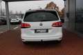 Volkswagen Sharan 2.0 TDI DSG Comfortline Weiß - thumbnail 5