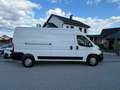 Peugeot Boxer 435 L3H2 Pro BlueHDi 140 Stop Weiß - thumbnail 5