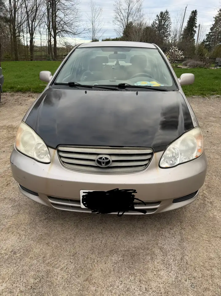 Toyota Corolla снимка Toyota Corolla