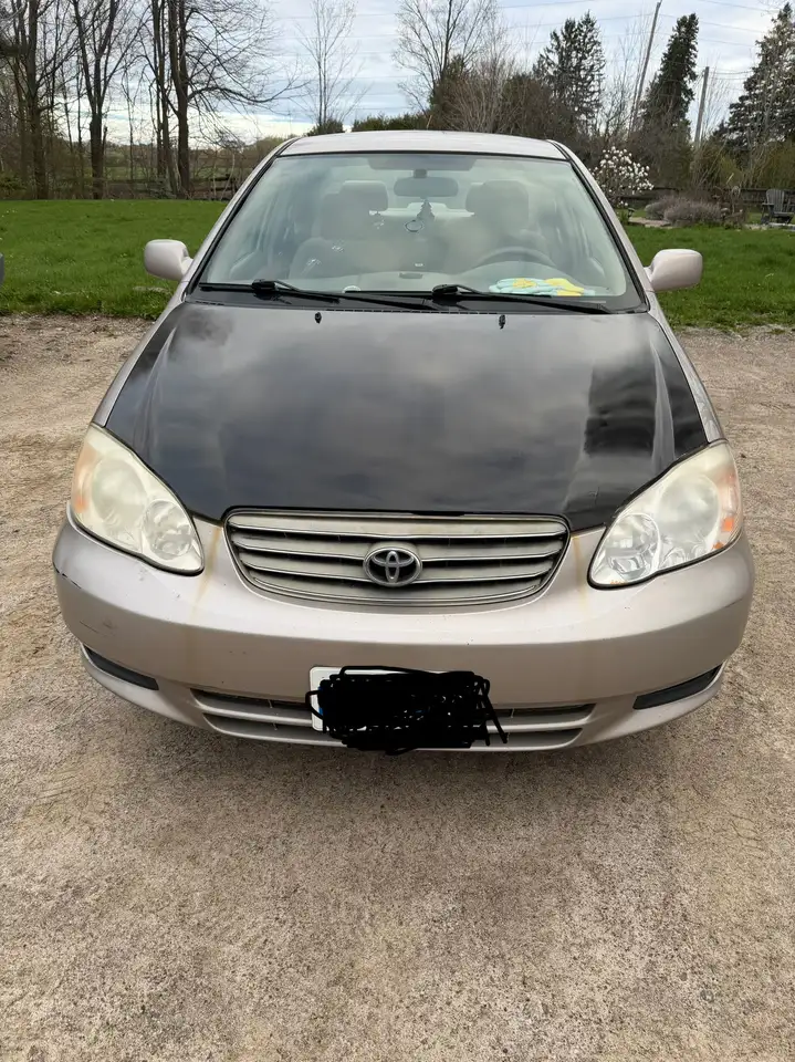 Toyota Corolla снимка Toyota Corolla