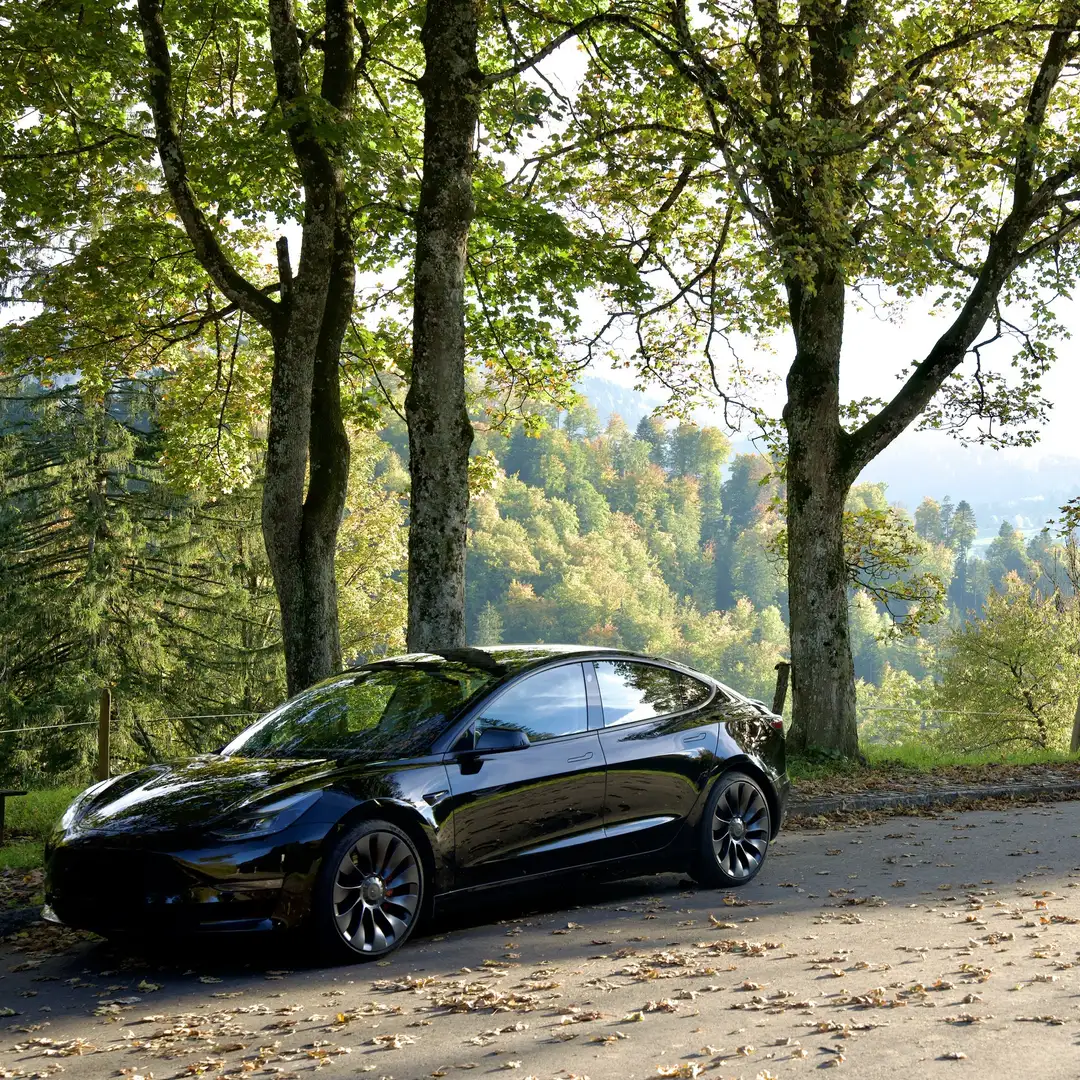 Tesla Model 3 Performance - 2