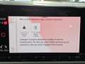 Volkswagen Golf TDI MOVE LIFE C.16 Tetto Nav Led Matrix Clima3Zone Bianco - thumbnail 25