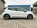 Renault Clio V 1.5 blue dci Evolution 100cv White - thumbnail 5