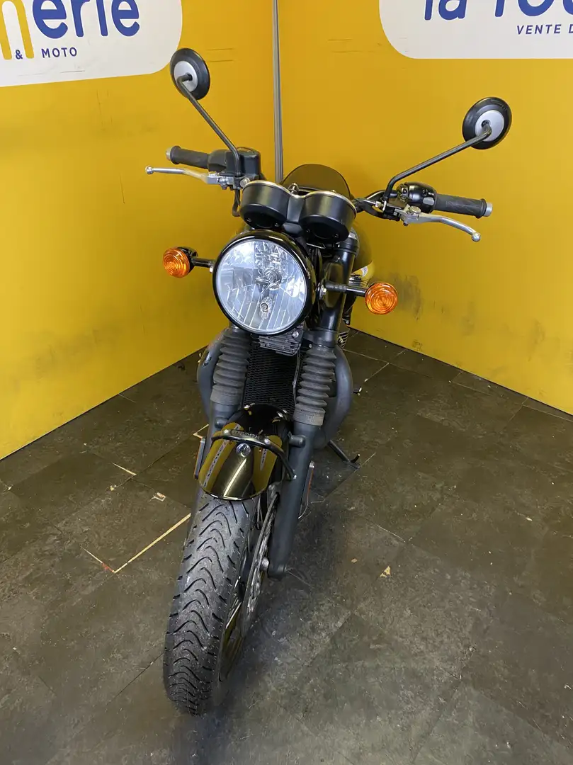 Triumph Schwarz - 2