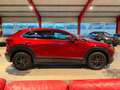 Mazda CX-3 0 Selection 2WD*AHK+LED+MEMORY+BOSE Rot - thumbnail 8