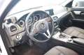 Mercedes-Benz C 350 T Blue Efficiency Avantgarde SCHIEBED./SHZ Blanco - thumbnail 12