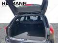 Ford Focus Turnier 2.0 EcoBlue ST-Line *NAVI*LED*SYNC Negro - thumbnail 6