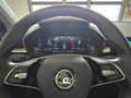 Skoda Fabia Selection Grau - thumbnail 13