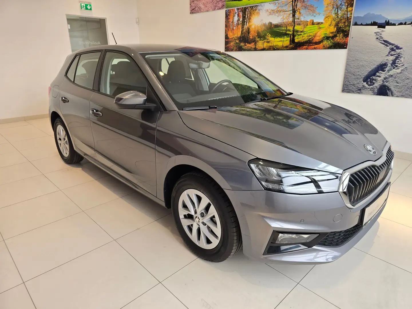 Skoda Fabia Selection Grau - 1