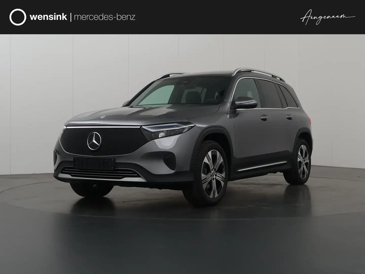 Mercedes-Benz EQB 250 250+ Luxury Line | Dodehoek Detectie | Panoramadak Gris - 1