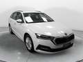 Skoda Octavia Octavia 2.0 TDI EVO SCR 150 CV DSG Wagon Executive Blanco - thumbnail 3