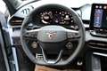 CUPRA Terramar 1.5 e-TSI 150 PS DSG mit perfekter Mehrausstattung Weiß - thumbnail 25