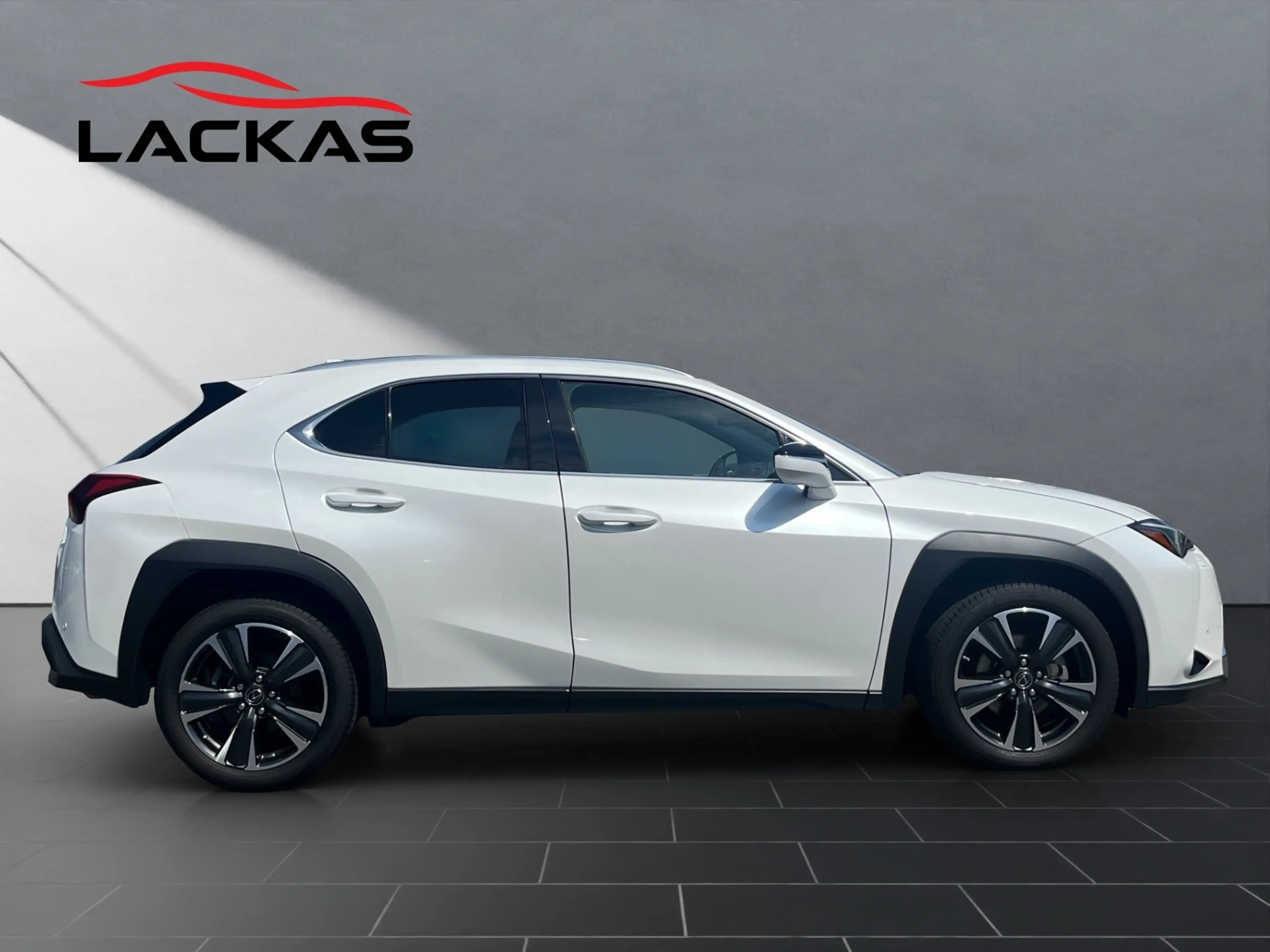 Lexus UX 250h 250 h*EXECUTIVE*HUD*LEDER*SCHIEBEDACH — photo 6