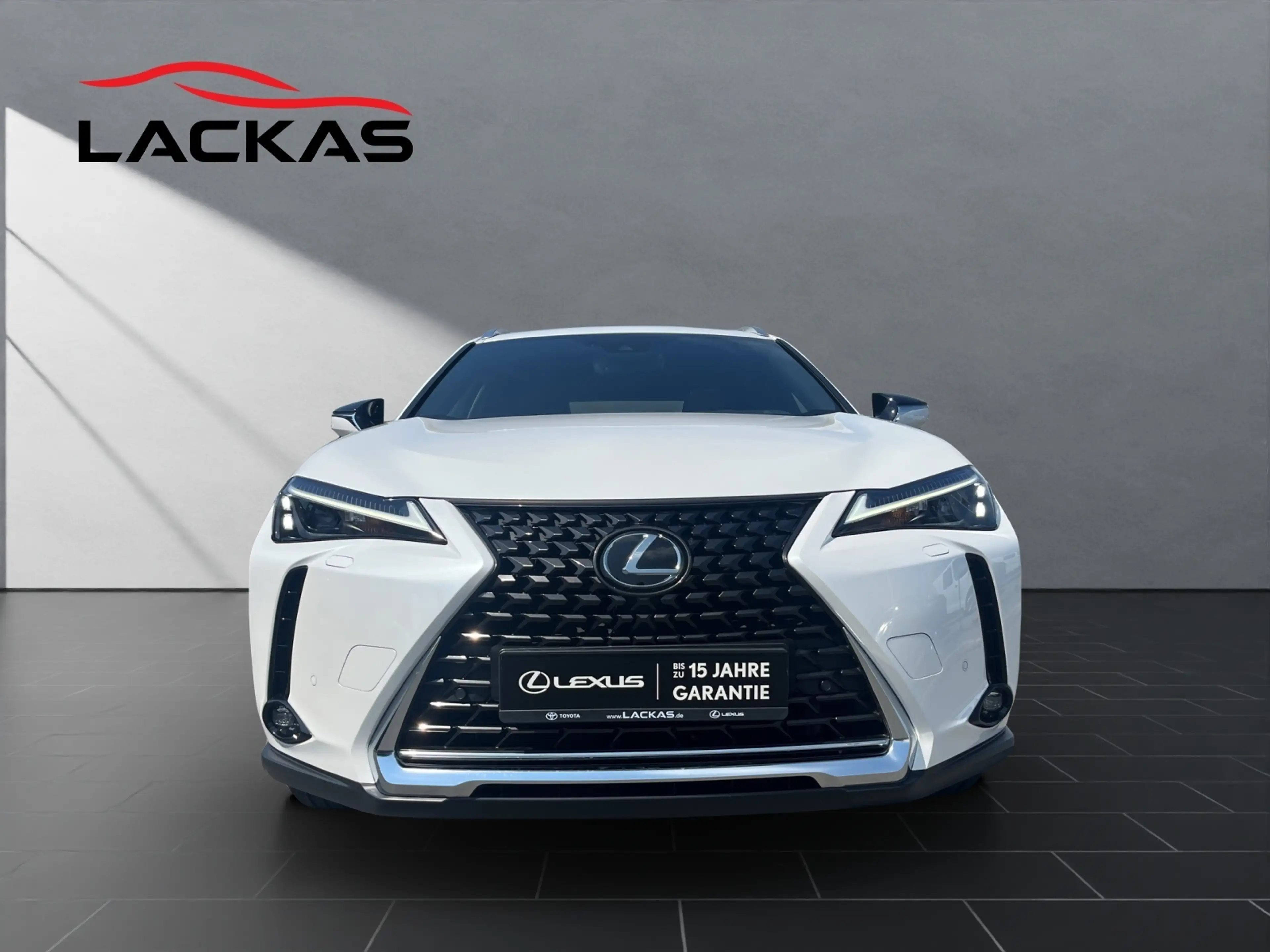 Lexus UX 250h 250 h*EXECUTIVE*HUD*LEDER*SCHIEBEDACH — photo 8