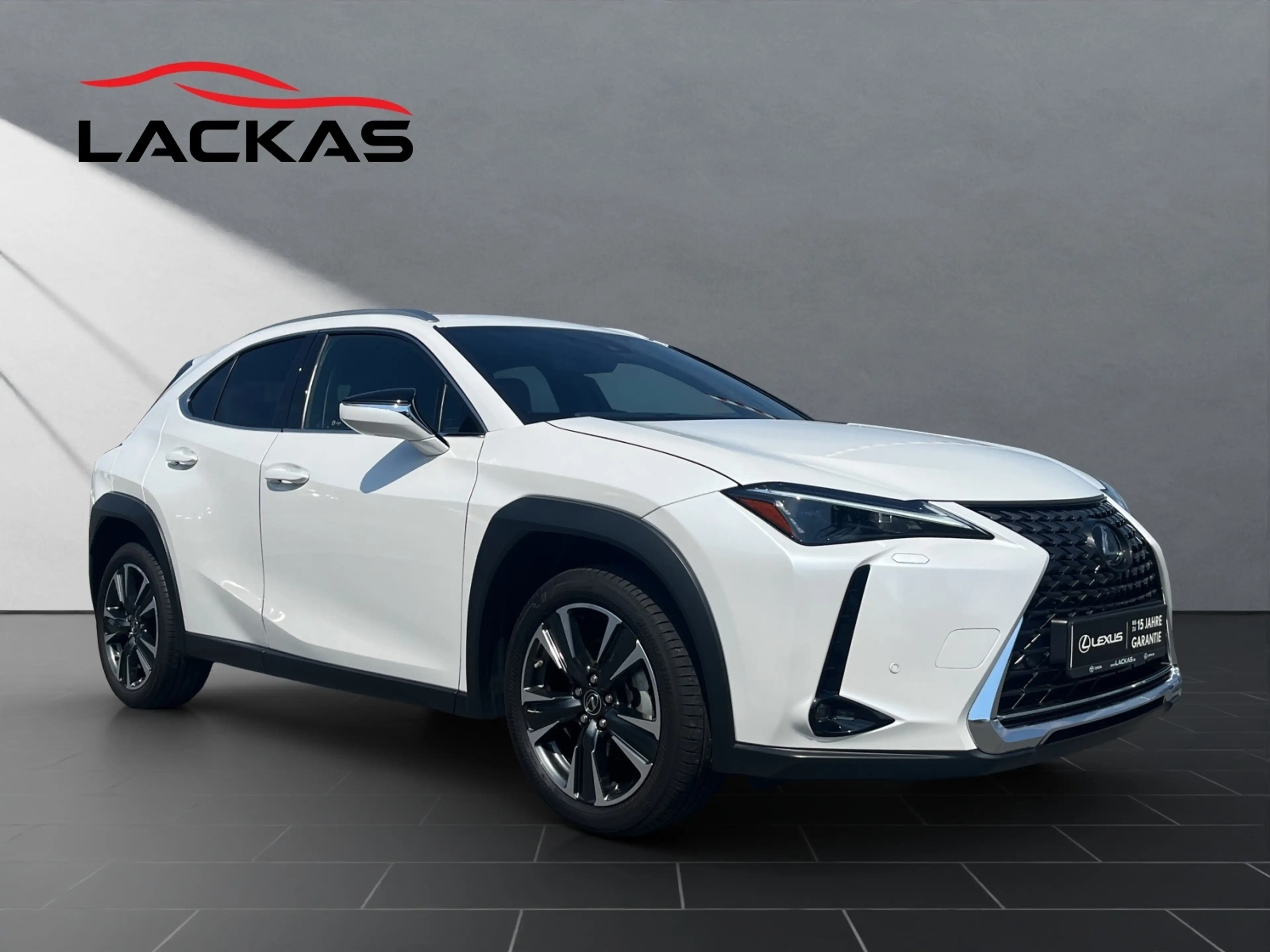 Lexus UX 250h 250 h*EXECUTIVE*HUD*LEDER*SCHIEBEDACH — photo 7