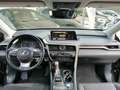 Lexus RX 350 450h Hybrid Executive Zwart - thumbnail 13