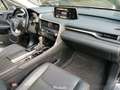 Lexus RX 350 450h Hybrid Executive Чорний - thumbnail 14