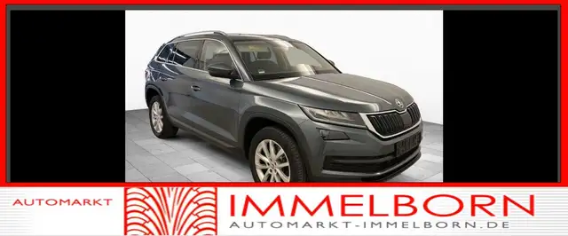 2021 Skoda Kodiaq in Grey for sale