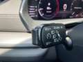 Skoda Octavia Ambition TDI Grau - thumbnail 11