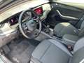 Skoda Octavia Ambition TDI Grau - thumbnail 6