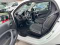 smart forTwo coupe electric drive / EQ Weiß - thumbnail 13