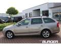 Skoda Octavia Combi 1.2 TSI AHK SD SHZ Temp PDC Klimaautom Berga Brun - thumbnail 9