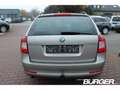 Skoda Octavia Combi 1.2 TSI AHK SD SHZ Temp PDC Klimaautom Berga Braun - thumbnail 6