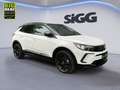 Opel Grandland 1.2 Turbo GS Line Matrix 2xKlima 360 Weiß - thumbnail 9