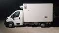 Citroen Jumper 35 - ISOTERMICO - DOPPIA VENTILAZIONE - ATP Bianco - thumbnail 1