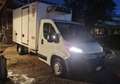 Citroen Jumper 35 - ISOTERMICO - DOPPIA VENTILAZIONE - ATP Bianco - thumbnail 11