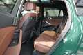 BMW X6 xDrive30d Grün - thumbnail 5