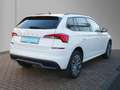 Skoda Kamiq 1.0 TSI DSG Clever 16" Navi SmartLink SH Weiß - thumbnail 4