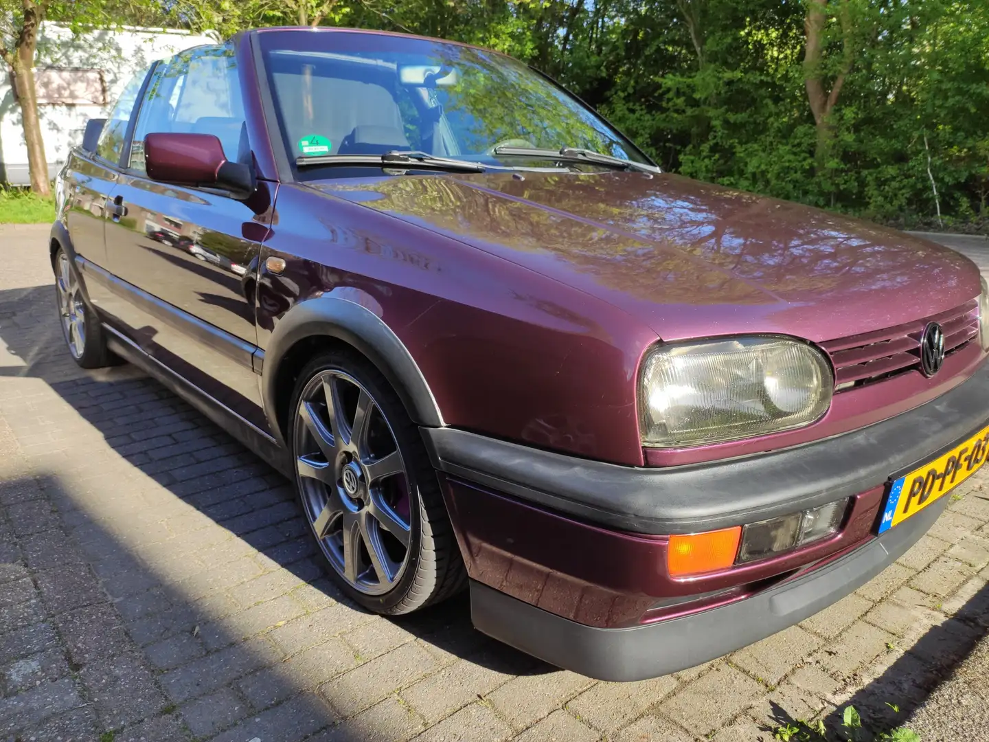 Volkswagen Golf Cabriolet Golf Cabriolet 2.0 Avantgarde Mauve - 1
