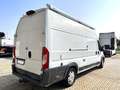 Fiat Ducato 35 officina mobile Weiß - thumbnail 4