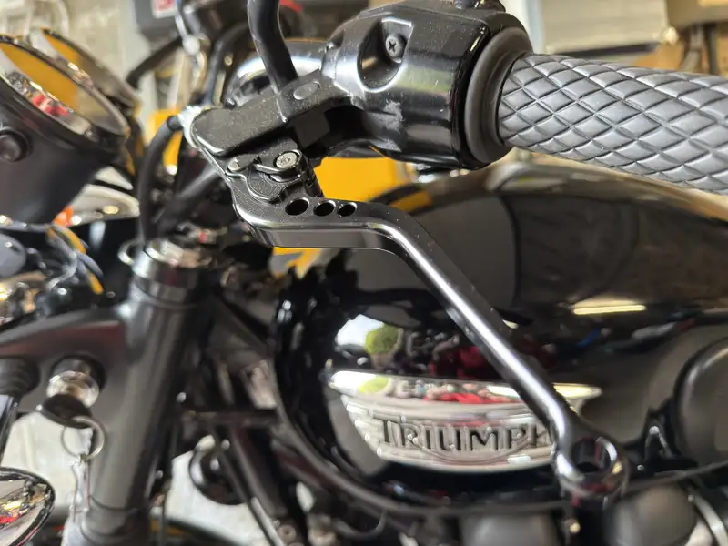 Triumph Bonneville T100 - foto 6