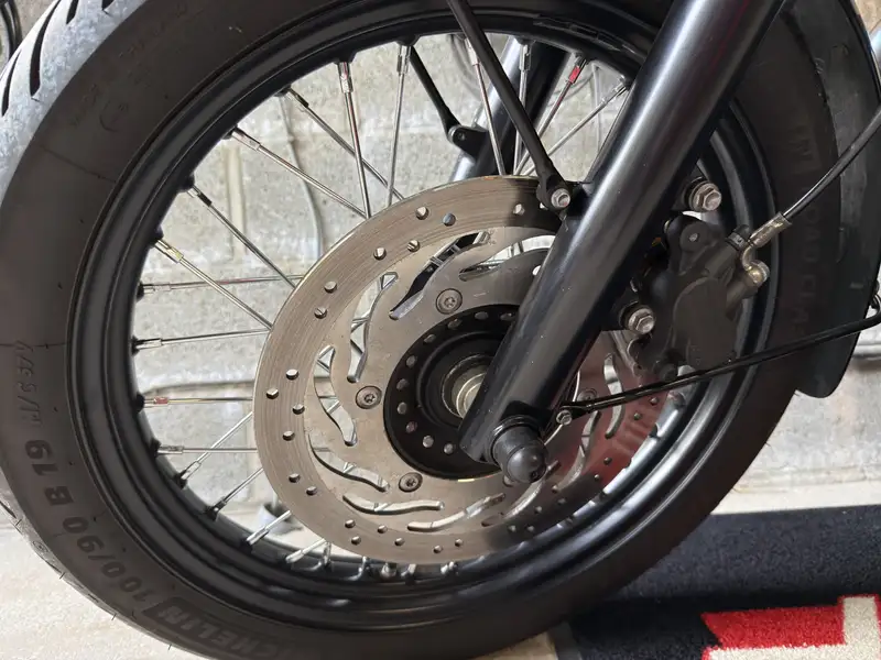 Triumph Bonneville T100 - foto 8